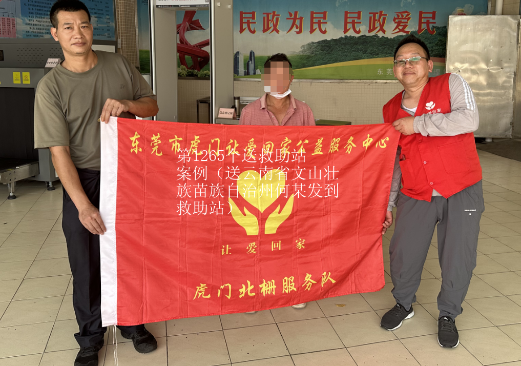 第JZ00006个送救助站案例（送云南省文山壮族苗族自治州何某发到救助站）